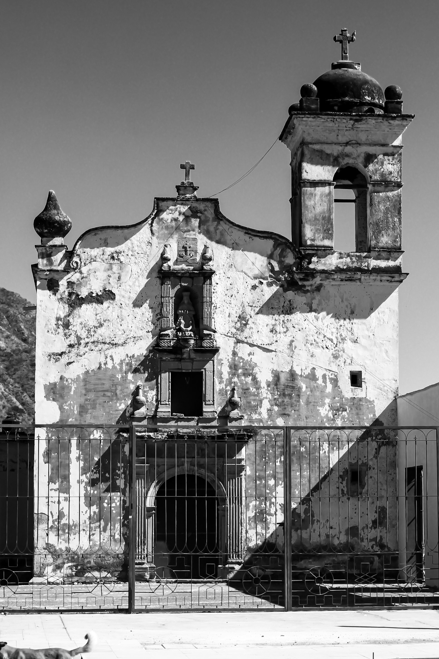 Cómo colaborar con los proyectos de la asociación